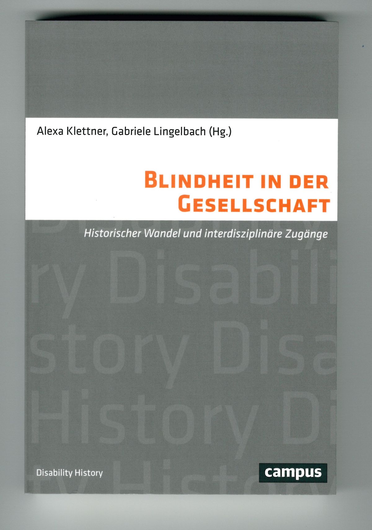 Mitf&ouml;rderung des Buchs Blindheit in der Gesellschaft von Frau Prof. Klettner im Jahr 2017